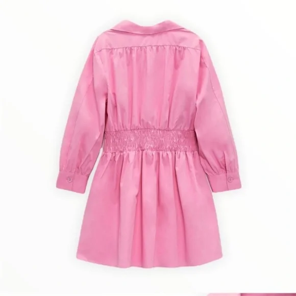 Zara collard v neck pink mini dress — smocked waist long sleeves skater dress - Picture 10 of 15